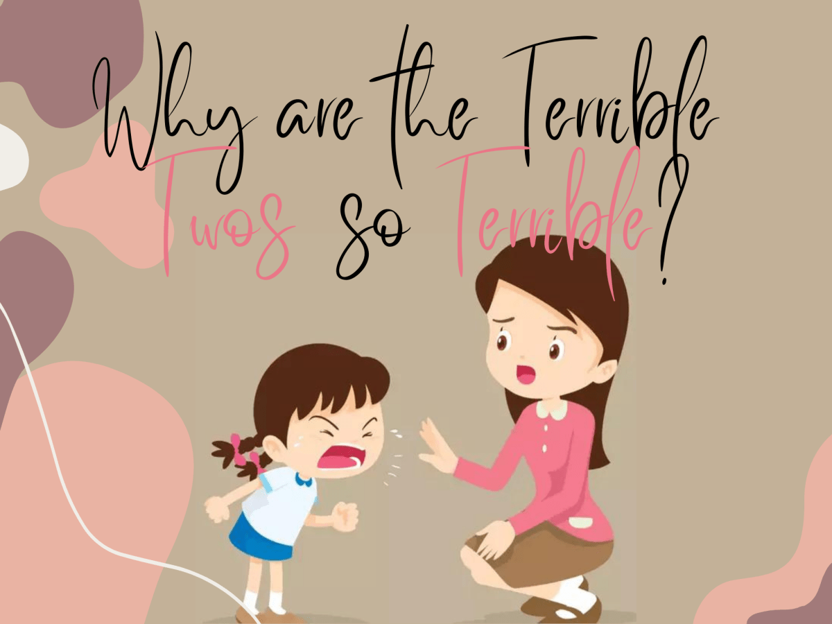 What is so Terrible about the Terrible&nbsp;Twos?